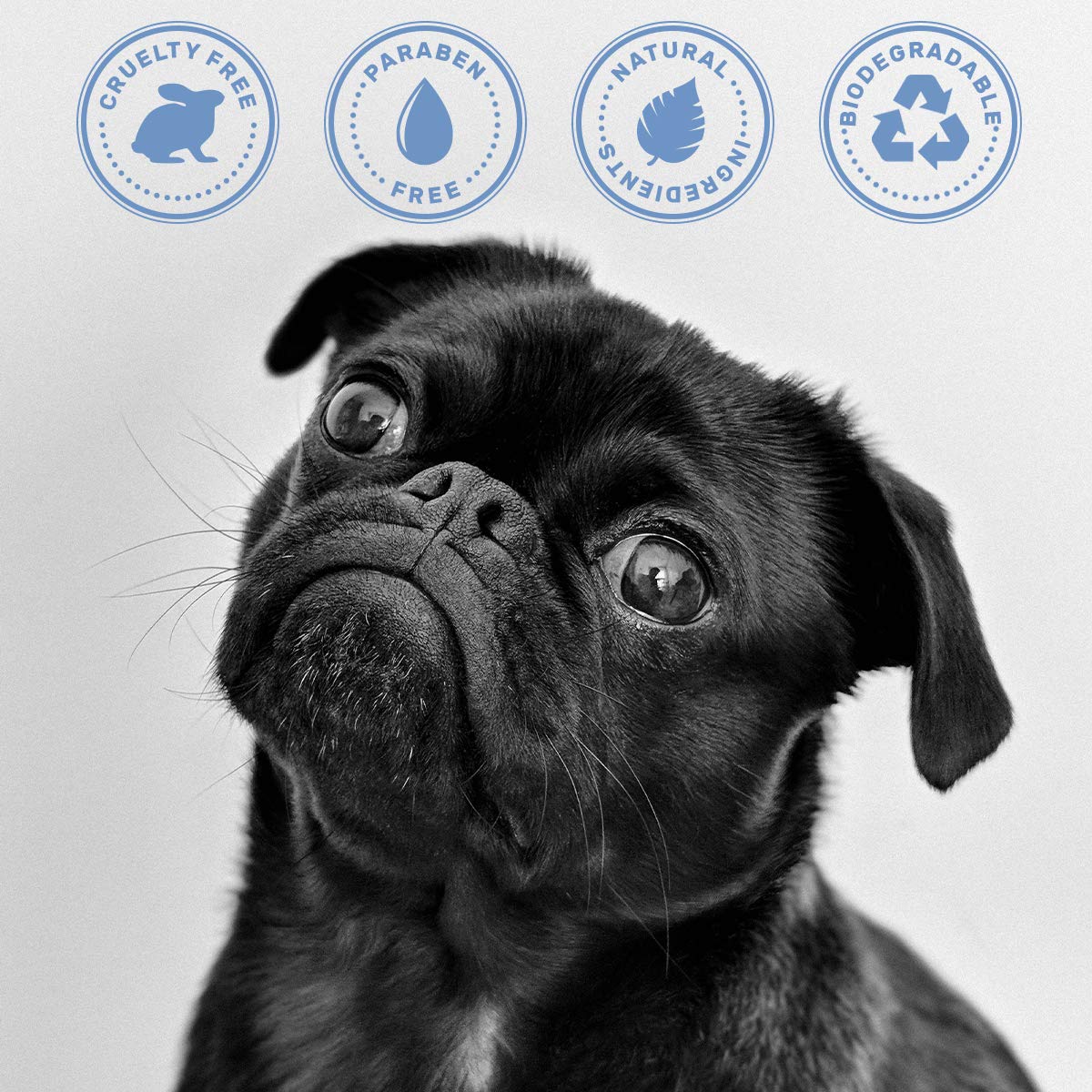 OLIVER'S CHOICE dog shampoo aloe shea closeup emphasizes nourishing moisture.