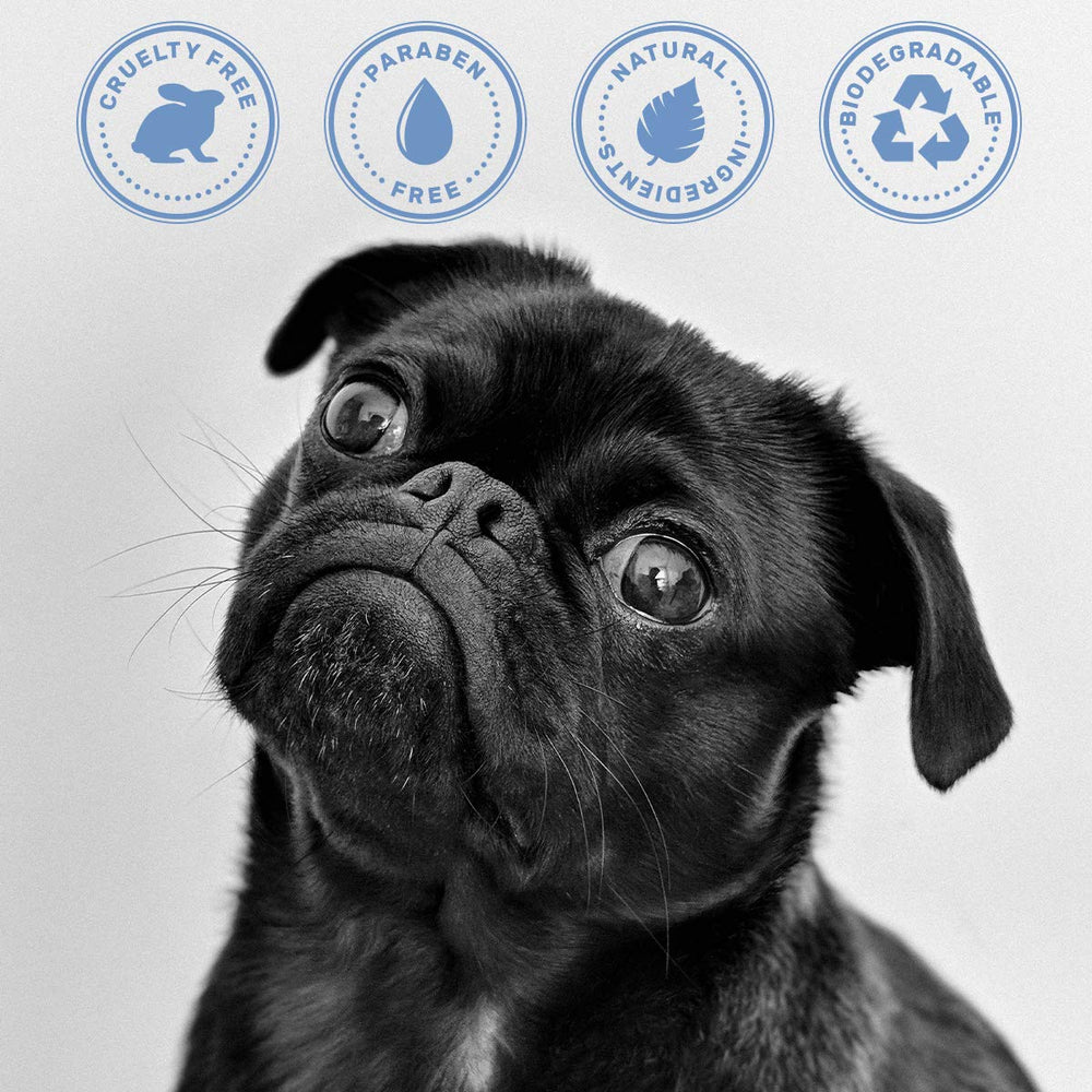 OLIVER'S CHOICE dog shampoo aloe shea closeup emphasizes nourishing moisture.