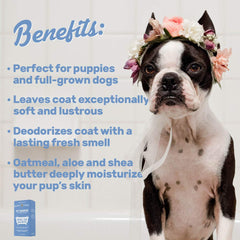 OLIVER'S CHOICE dog shampoo lather closeup highlights gentle cleansing for sensitive skin.