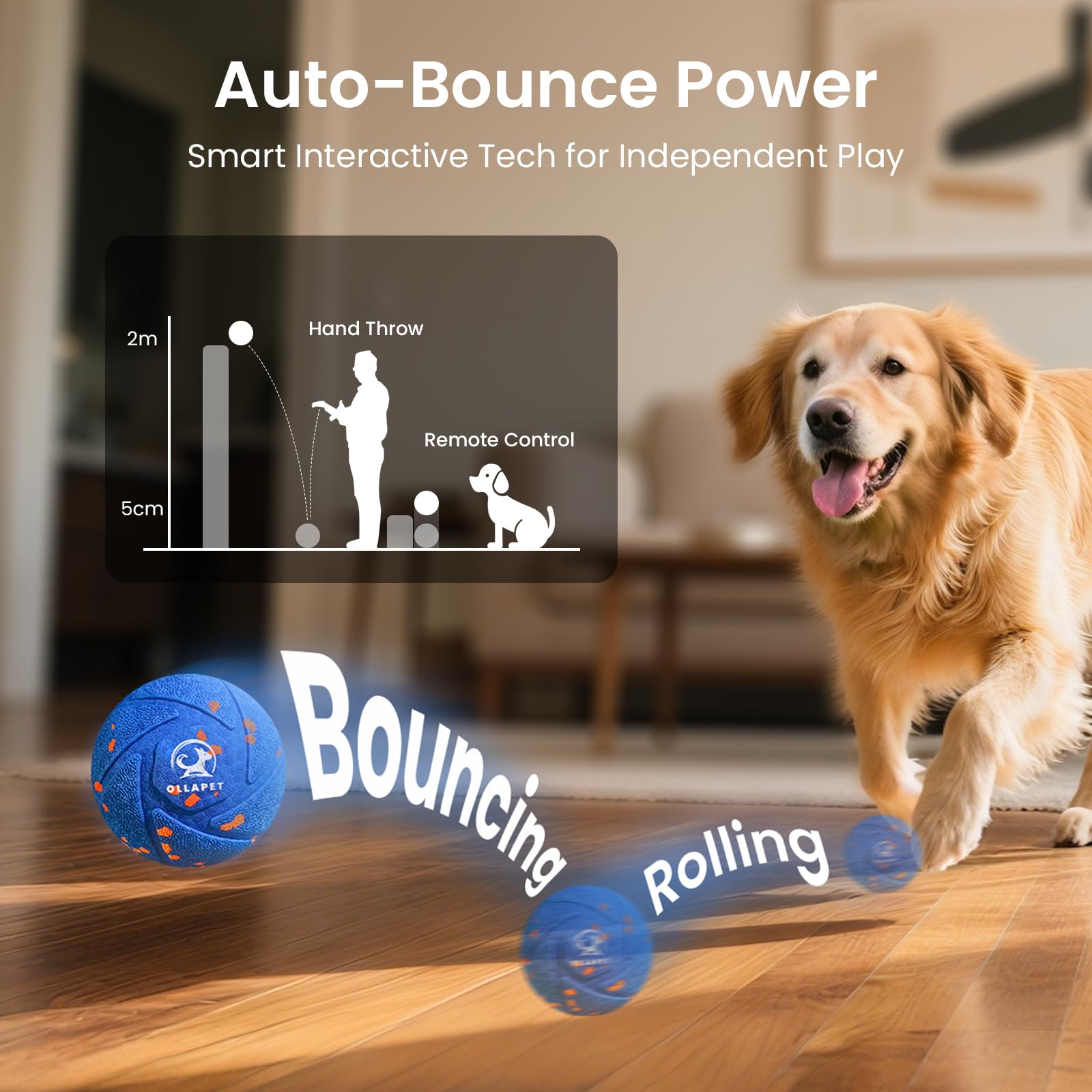 Ollapet Ball in bounce mode for energetic outdoor sprints