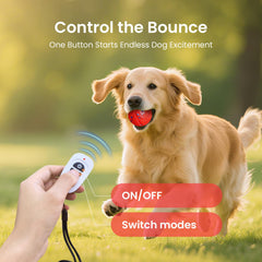 Ollapet ball with chew-resistant shell designed for durability
