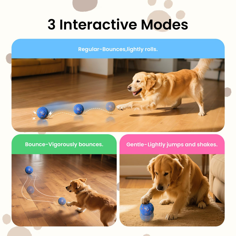 Ollapet Ball diameter 3.2 inches fits medium and large dogs