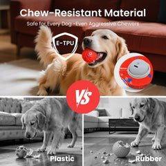 Ollapet ball in Gentle mode for calm indoor sessions