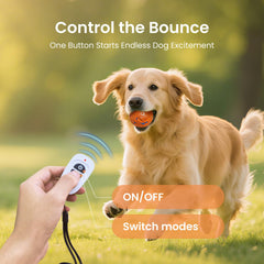 Ollapet ball in Bounce mode vigorously bouncing for energetic play.