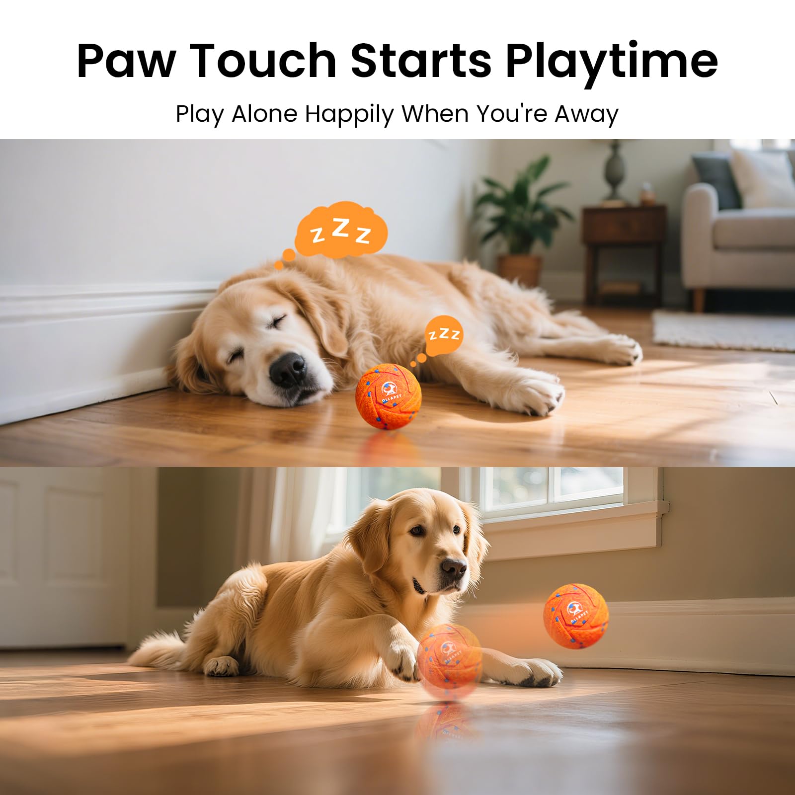 Ollapet ball IPX7 waterproof for easy cleaning and water play.