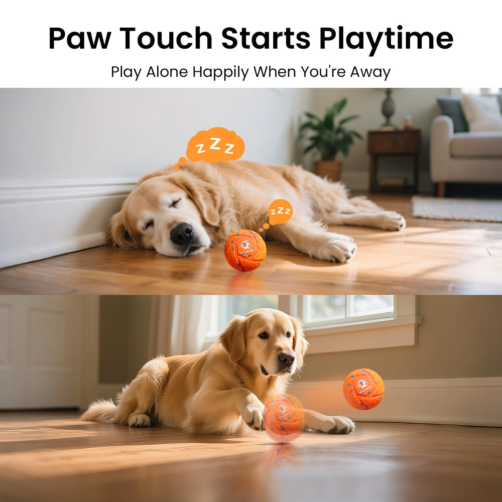 Ollapet ball IPX7 waterproof for easy cleaning and water play.