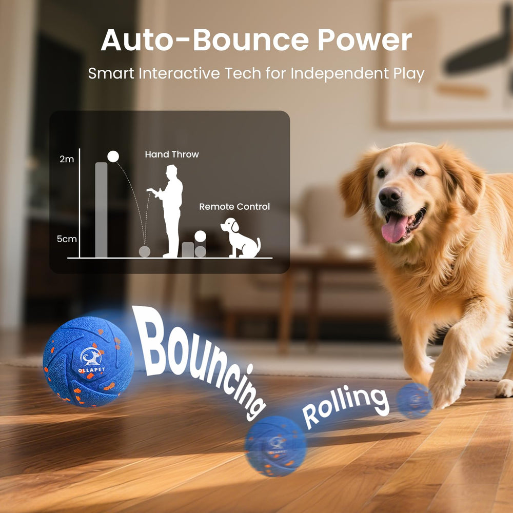 Ollapet interactive ball in Bounce mode for active outdoor sessions.