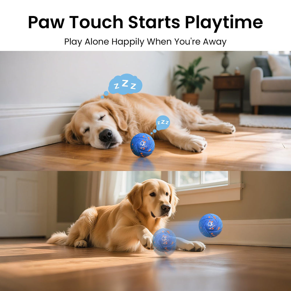 Ollapet interactive ball IPX7 waterproof shell for easy cleaning.