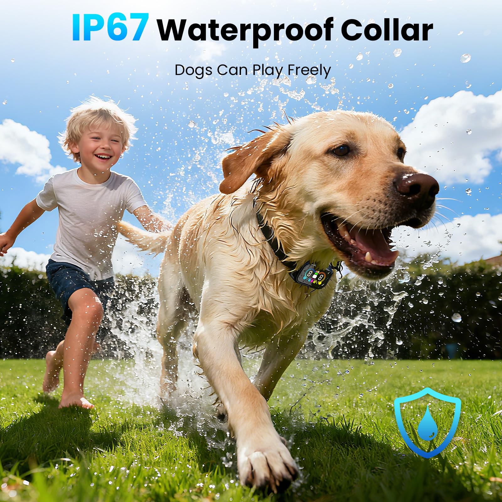 Ollapet IP67 waterproof collar withstands rain and splashes during play.