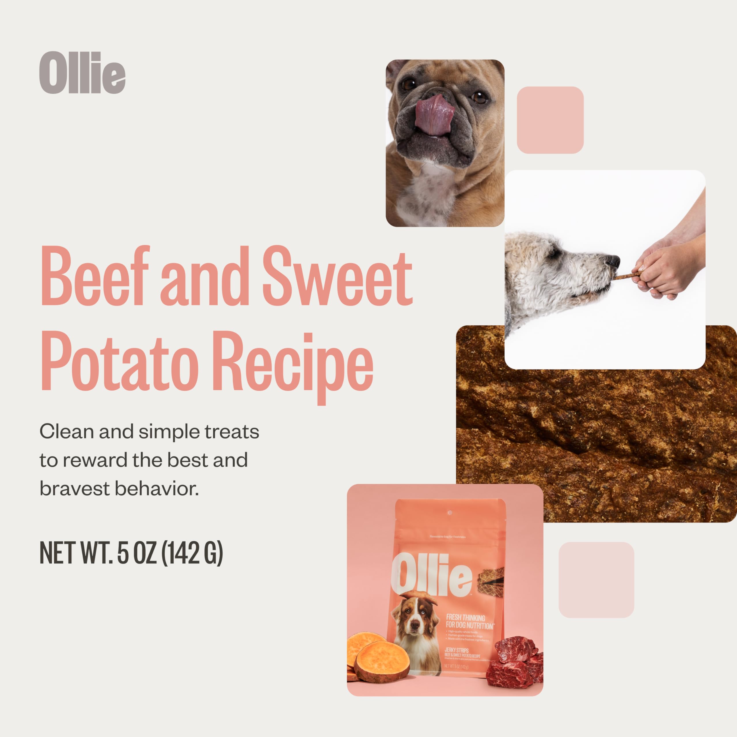 Close-up of Ollie jerky strips showing chewy texture and real meat.