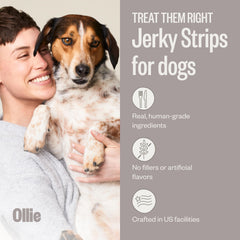 Ollie beef and sweet potato jerky pack, real meat for tasty snacks