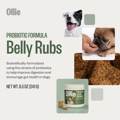 Ollie Belly Rubs five-strain probiotic chews promote gut health