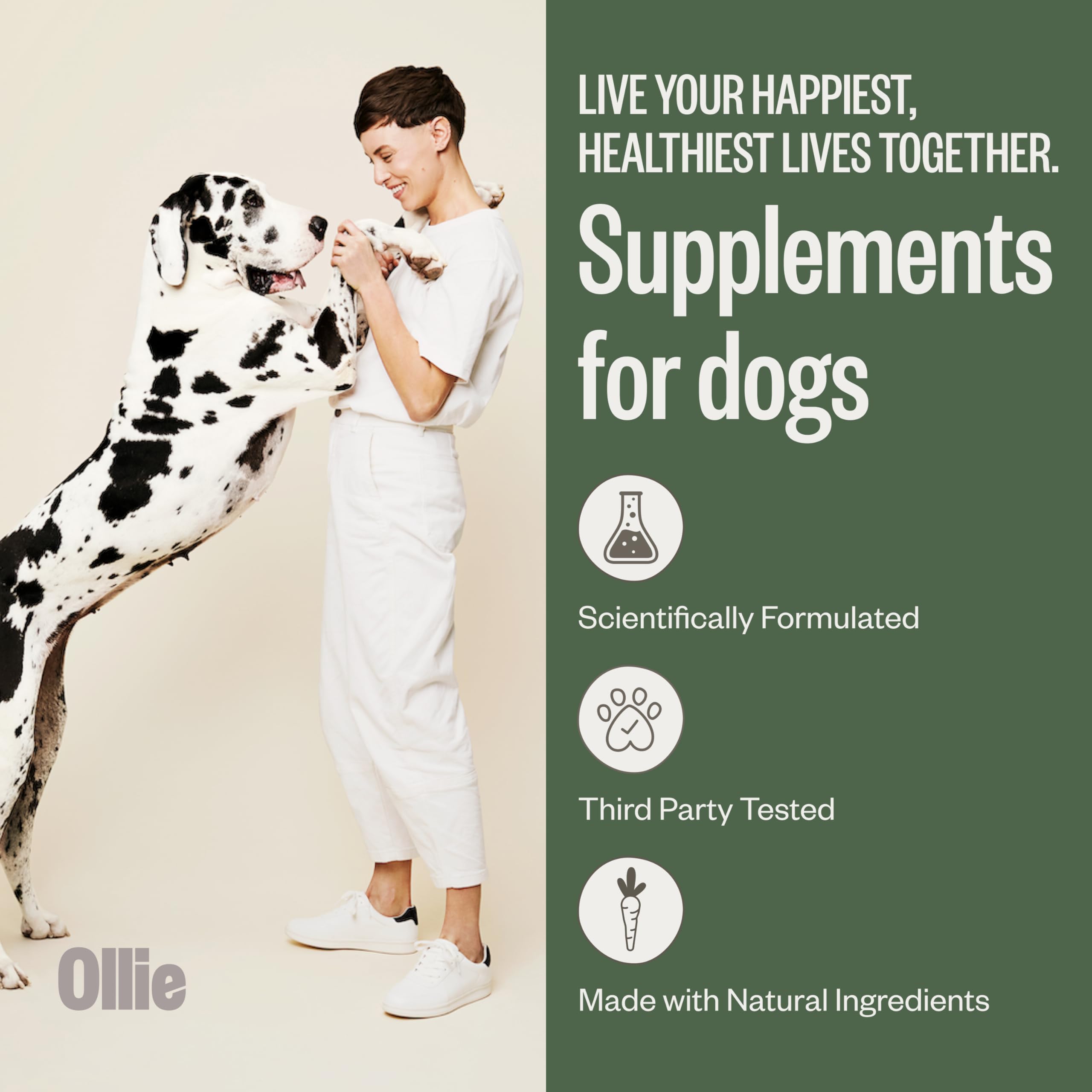 Ollie Belly Rubs ingredients with pumpkin seed and papaya leaf for digestion