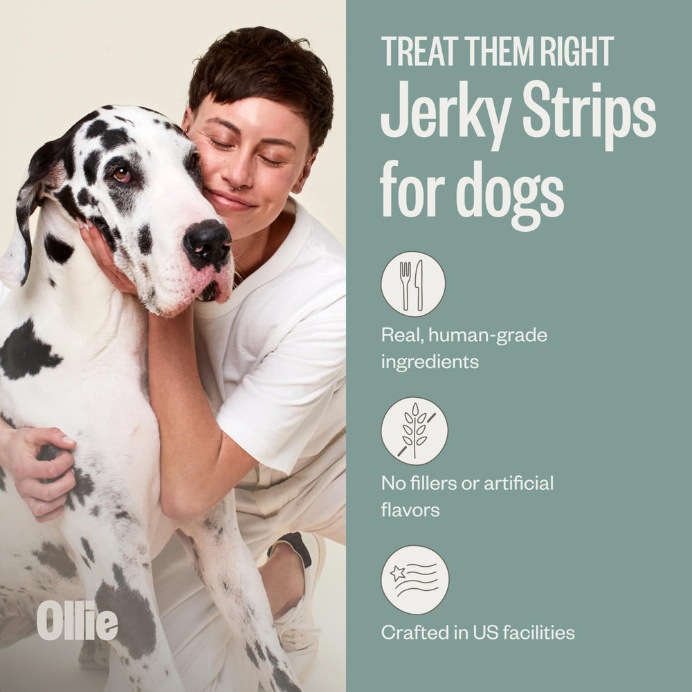 Ollie Jerky texture close-up shows meat-first recipe and natural ingredients.
