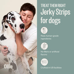 Ollie Jerky texture close-up shows meat-first recipe and natural ingredients.