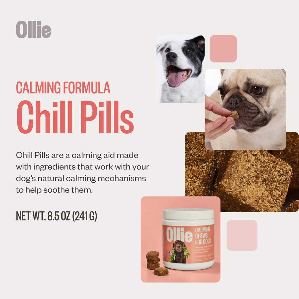 Ollie Chill Pill dog chews close-up highlighting tasty, soothing texture.