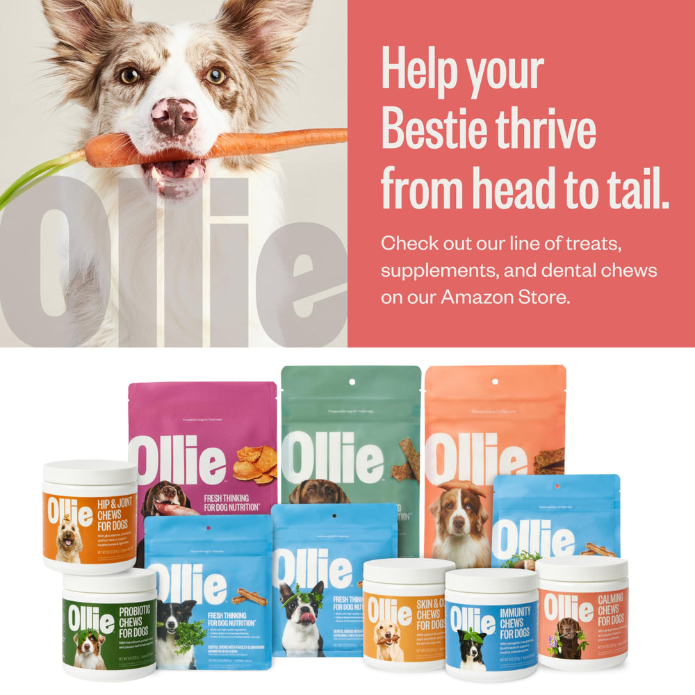 Ollie Chill Pill dog owner smiles beside calm, content pet.