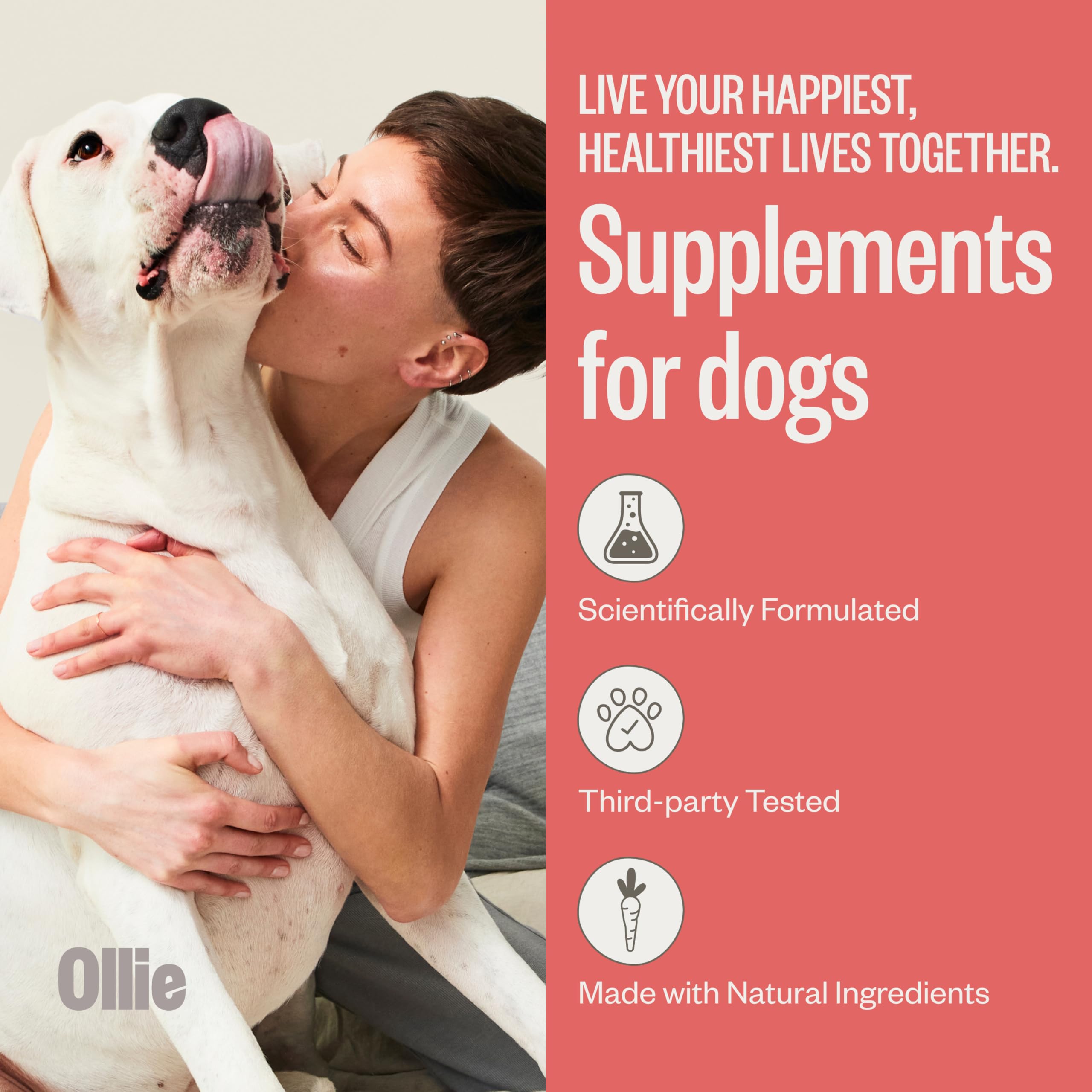Ollie Chill Pill ingredients label features natural botanicals and melatonin.