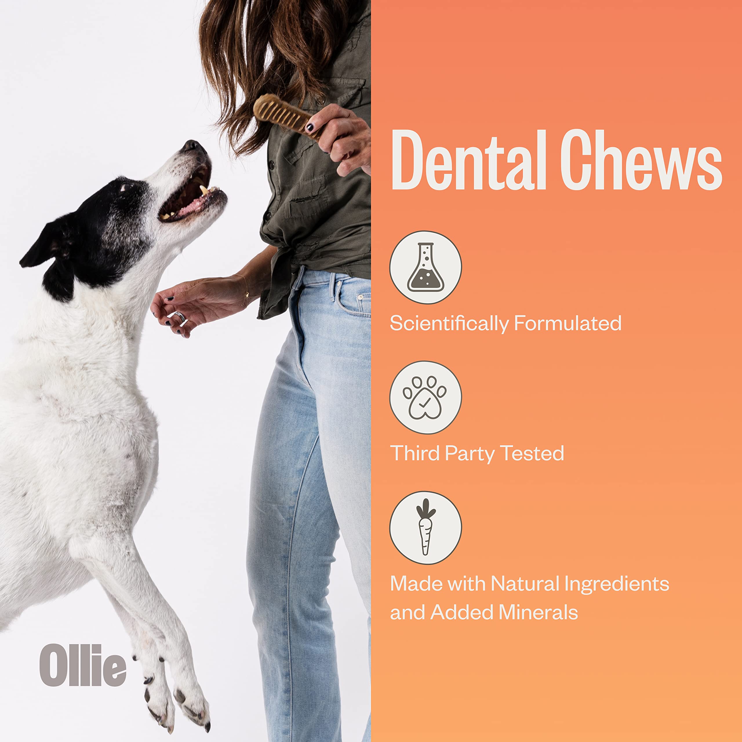 Ollie Dental Chews close-up texture highlights chewy, digestible bites for mindful chewing.