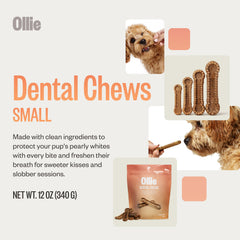 Ollie dental chews close-up sticks texture highlighting chewy action during chewing.