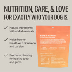 Ollie dental chews dog chewing action in real life dental care support.