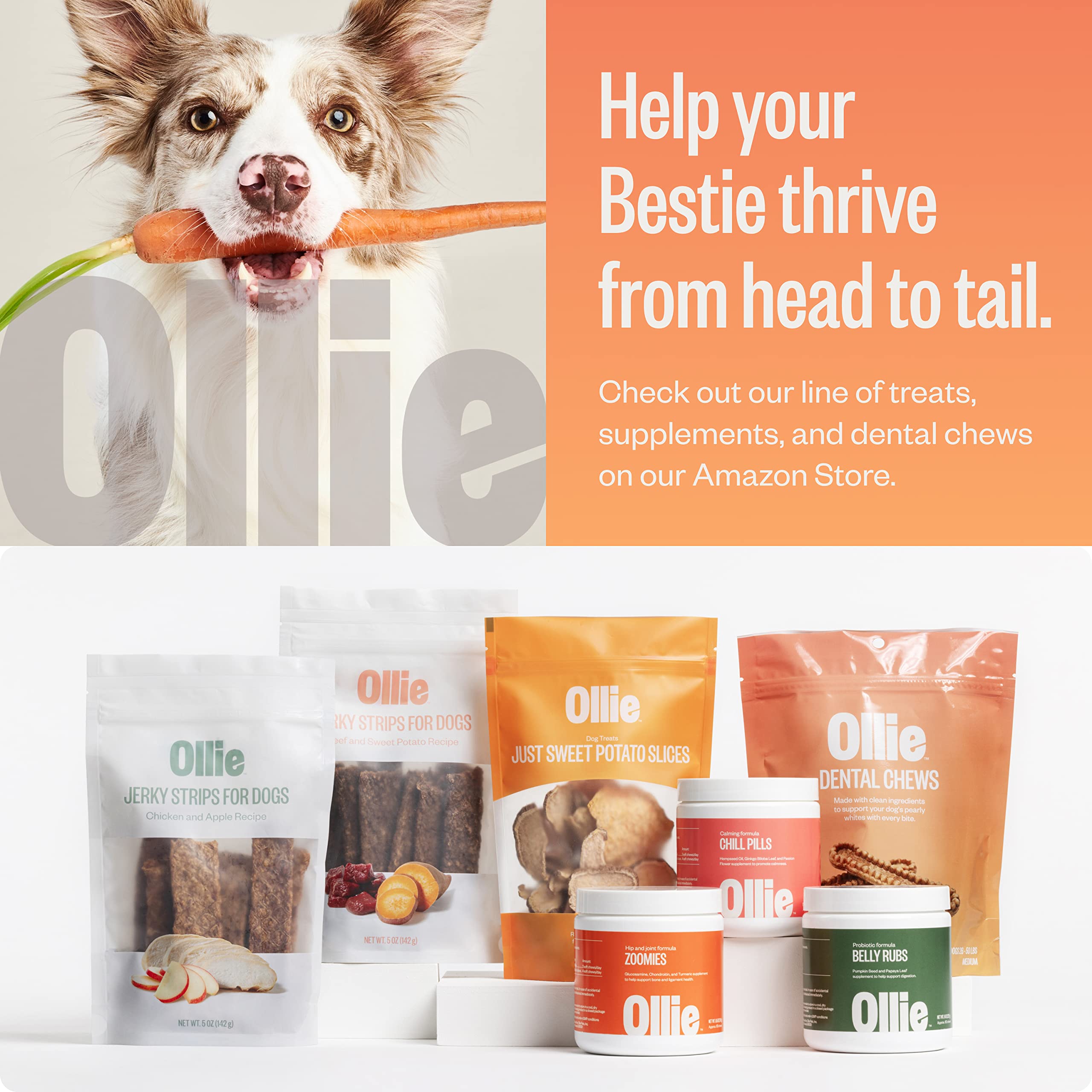 Ollie dental chews feeding guide visual with size recommendations per weight.