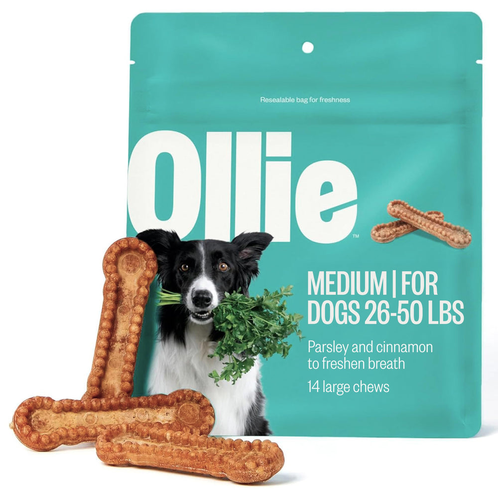 Ollie Dental Chews packaging for medium dogs supports a simple daily routine.