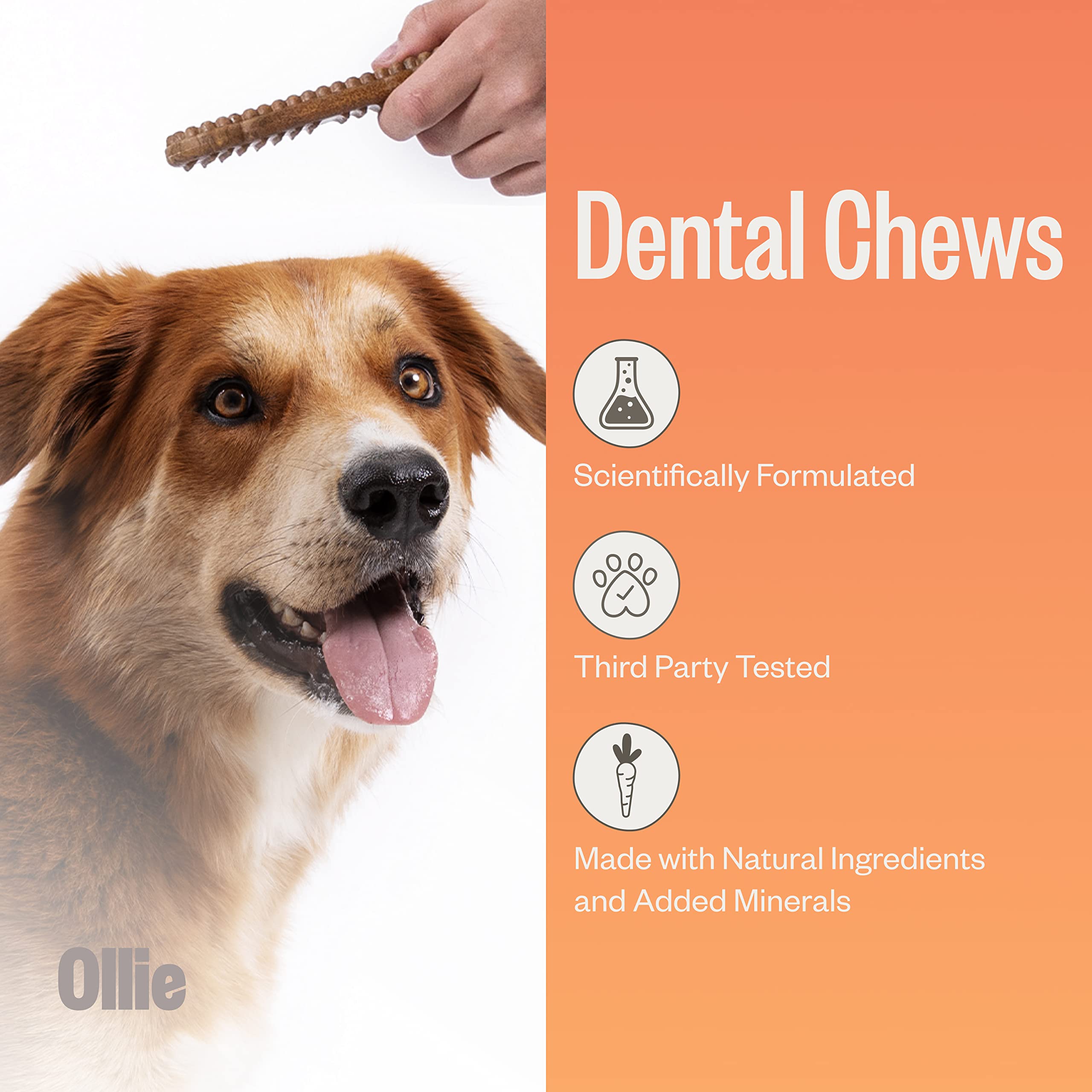 Ollie dental chews parsley and cinnamon image, breath-freshening flavor for healthier kisses.