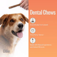 Ollie dental chews parsley and cinnamon image, breath-freshening flavor for healthier kisses.