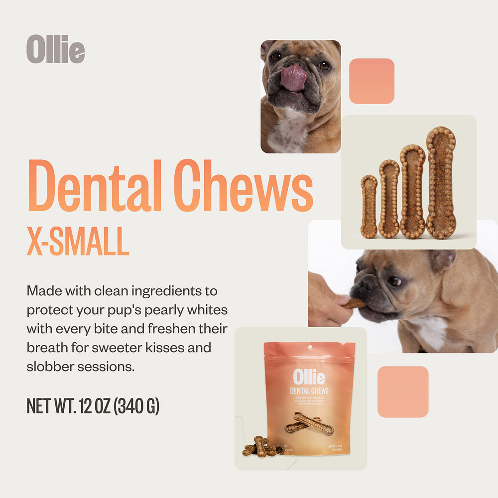 Ollie parsley and cinnamon flavor dental chews enhance breath and taste.