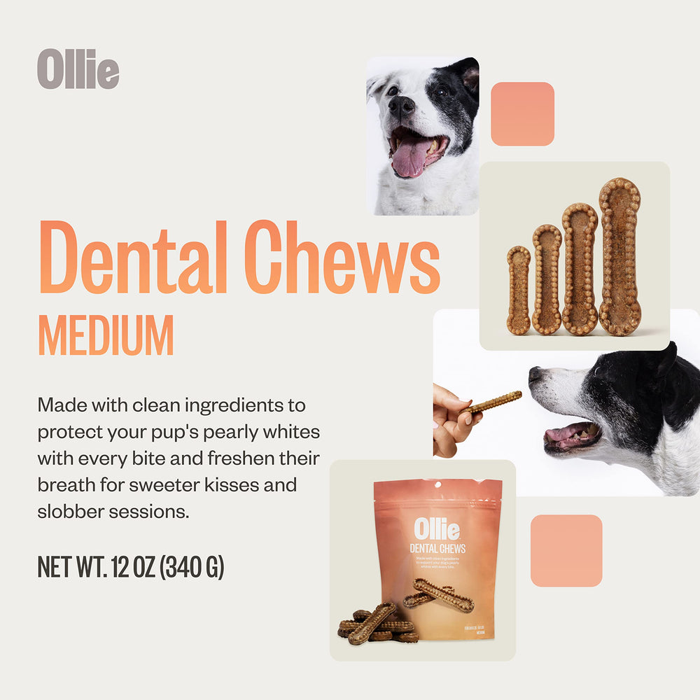 Ollie Dental Chews parsley and cinnamon ingredients promote fresh breath flavor cues.