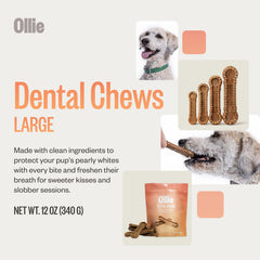 Ollie Dental Chews with parsley and cinnamon support breath freshness for dogs.