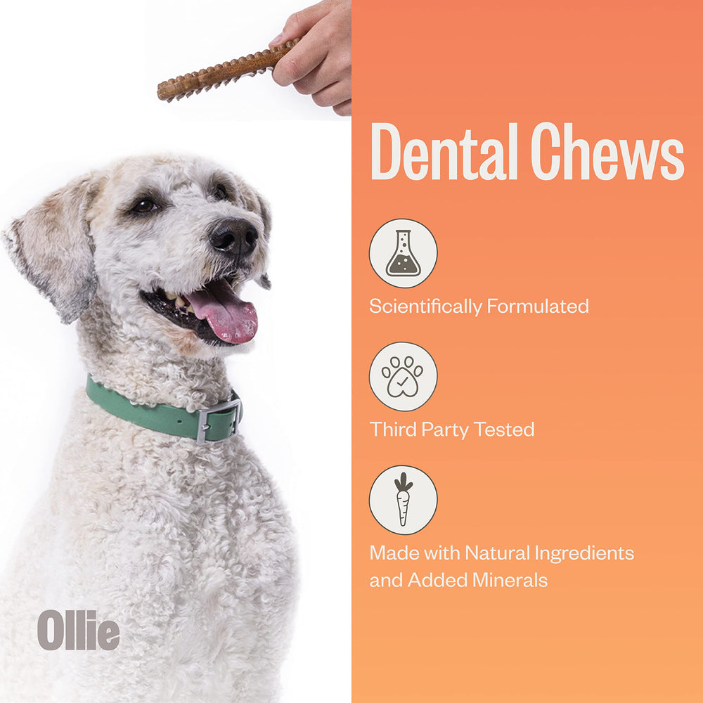 Ollie Dental Chews promoting teeth cleaning during daily chew sessions.