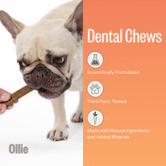 Ollie XS dental chews aid teeth cleaning for small dogs.