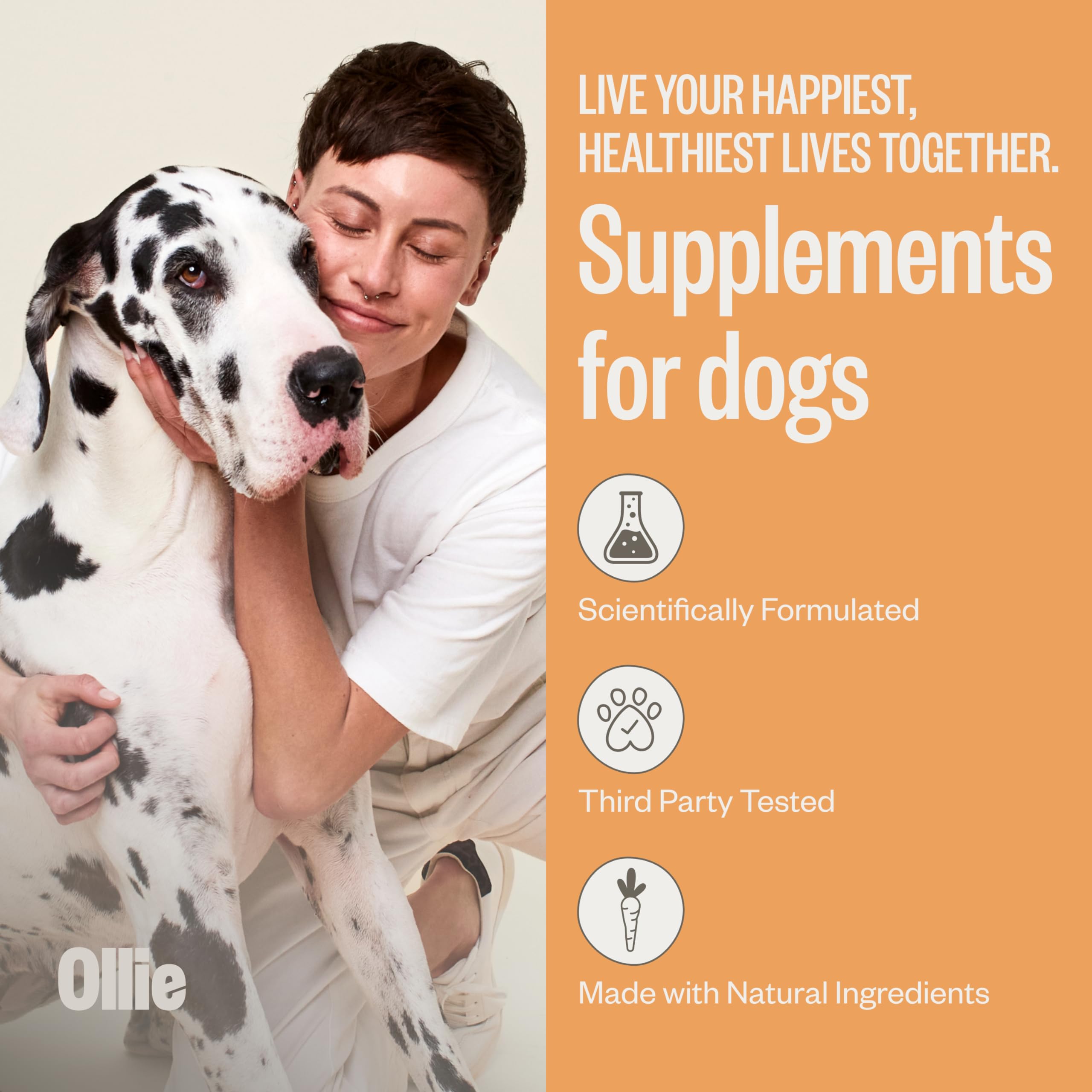 Ollie Dog Skin & Coat scoop close-up for easy serving and routine coat care.