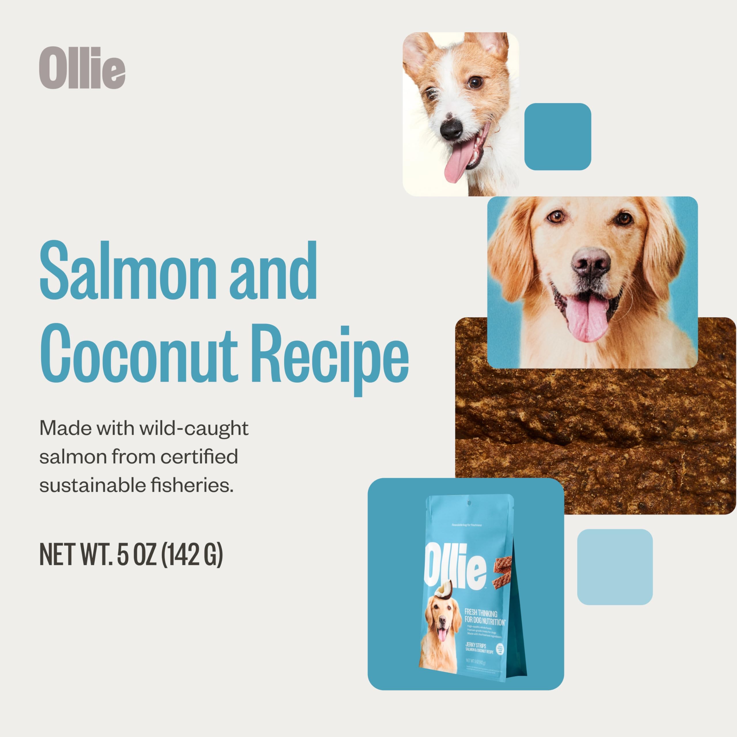 Ollie salmon-coconut jerky bag, packaging highlight for sustainable, human-grade treats.