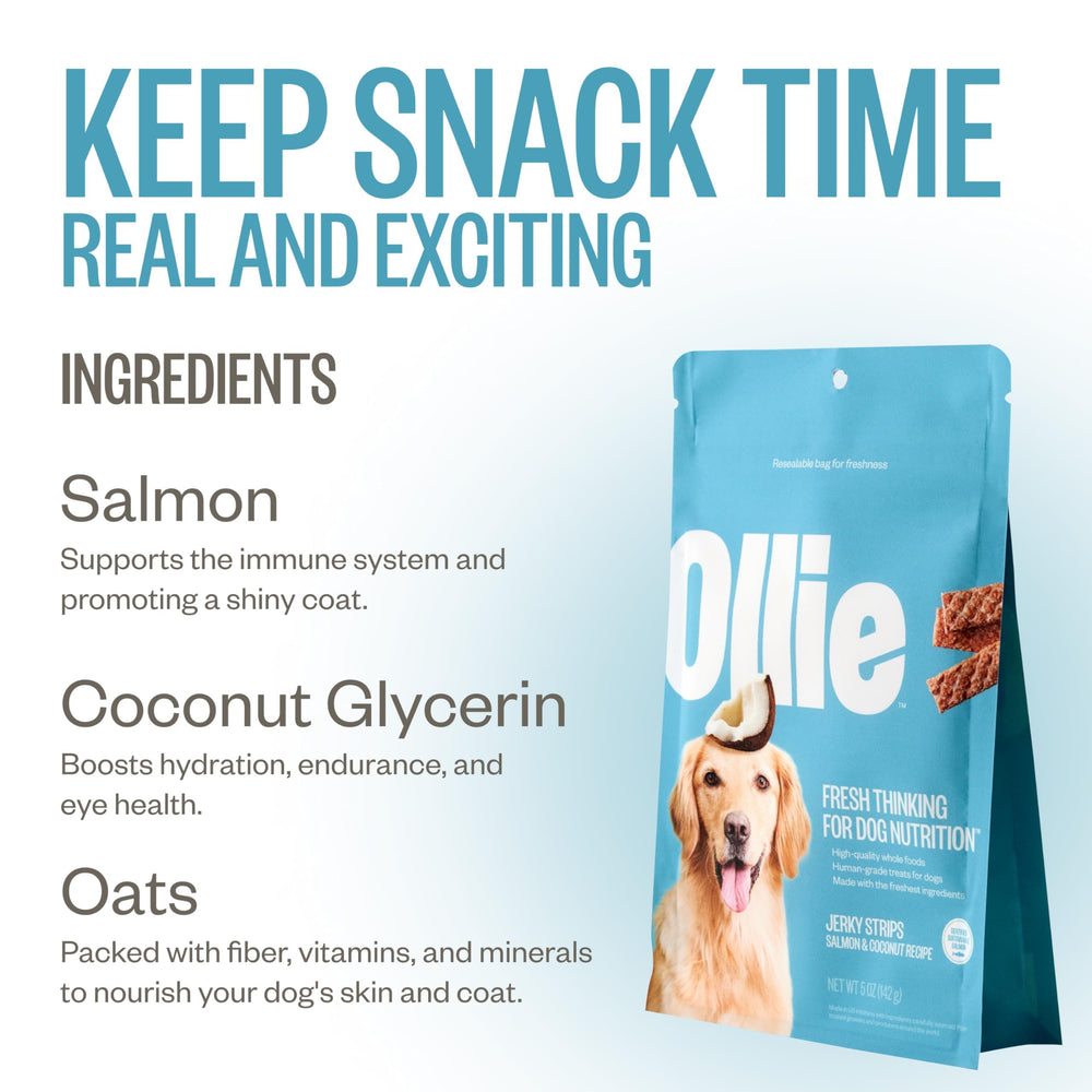 Ollie salmon-coconut jerky dog-enjoys, capturing joyful moments during snack time.