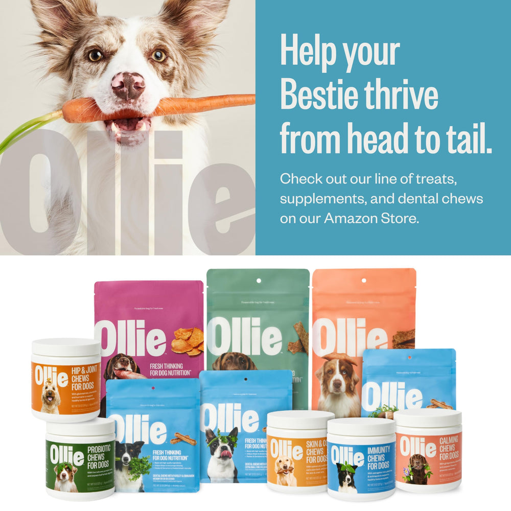 Ollie salmon-coconut jerky kitchen-bake scene, american-made quality for pets.