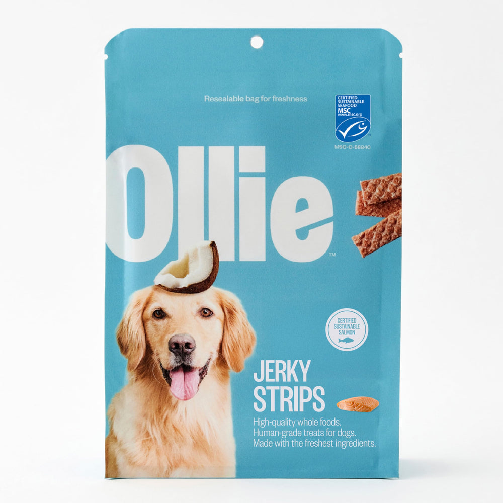 Ollie salmon-coconut jerky pack-3 seen, ideal for healthy, hands-on dog rewards.