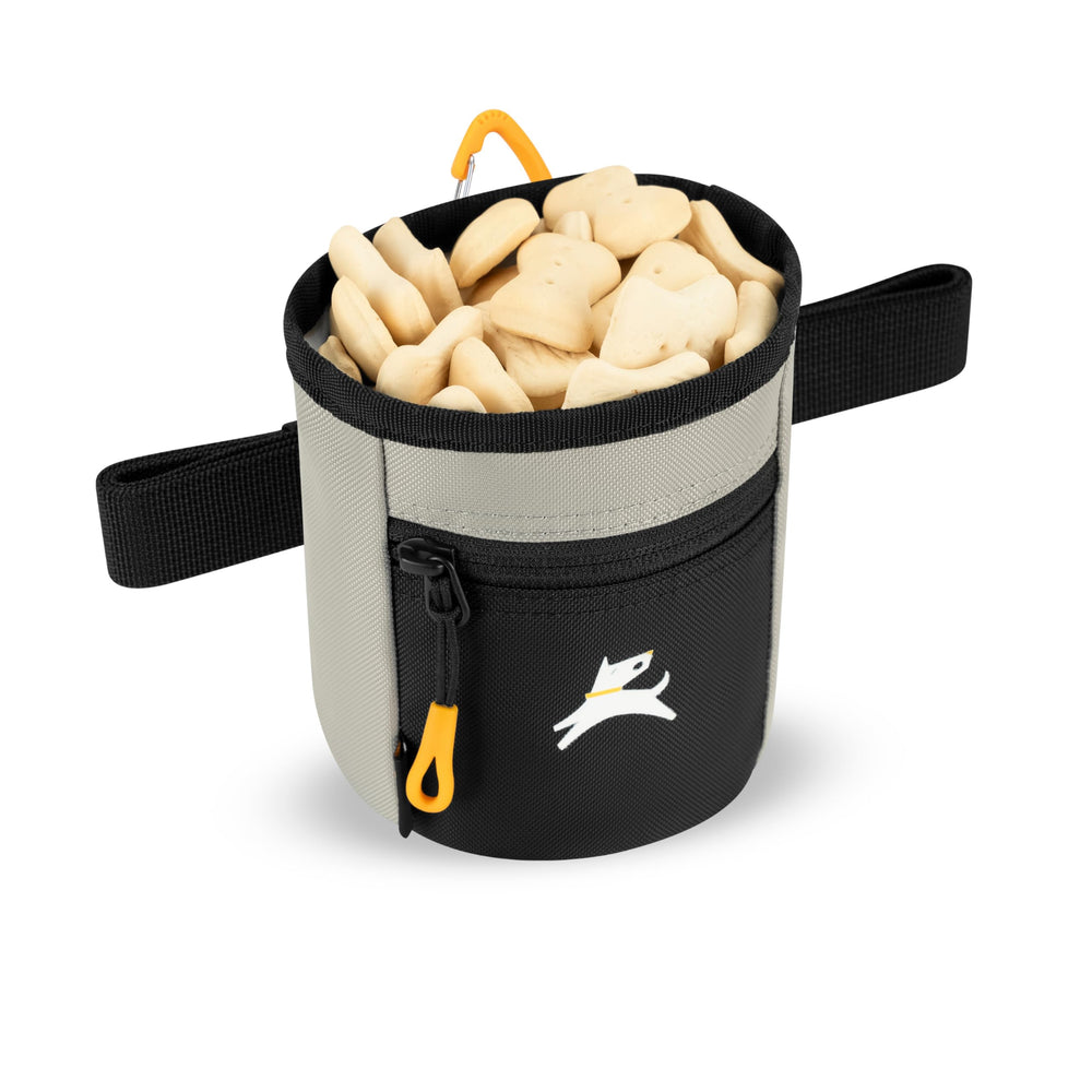 OllyDog Goodie Bag clipped to a leash enables hands-free training on walks.