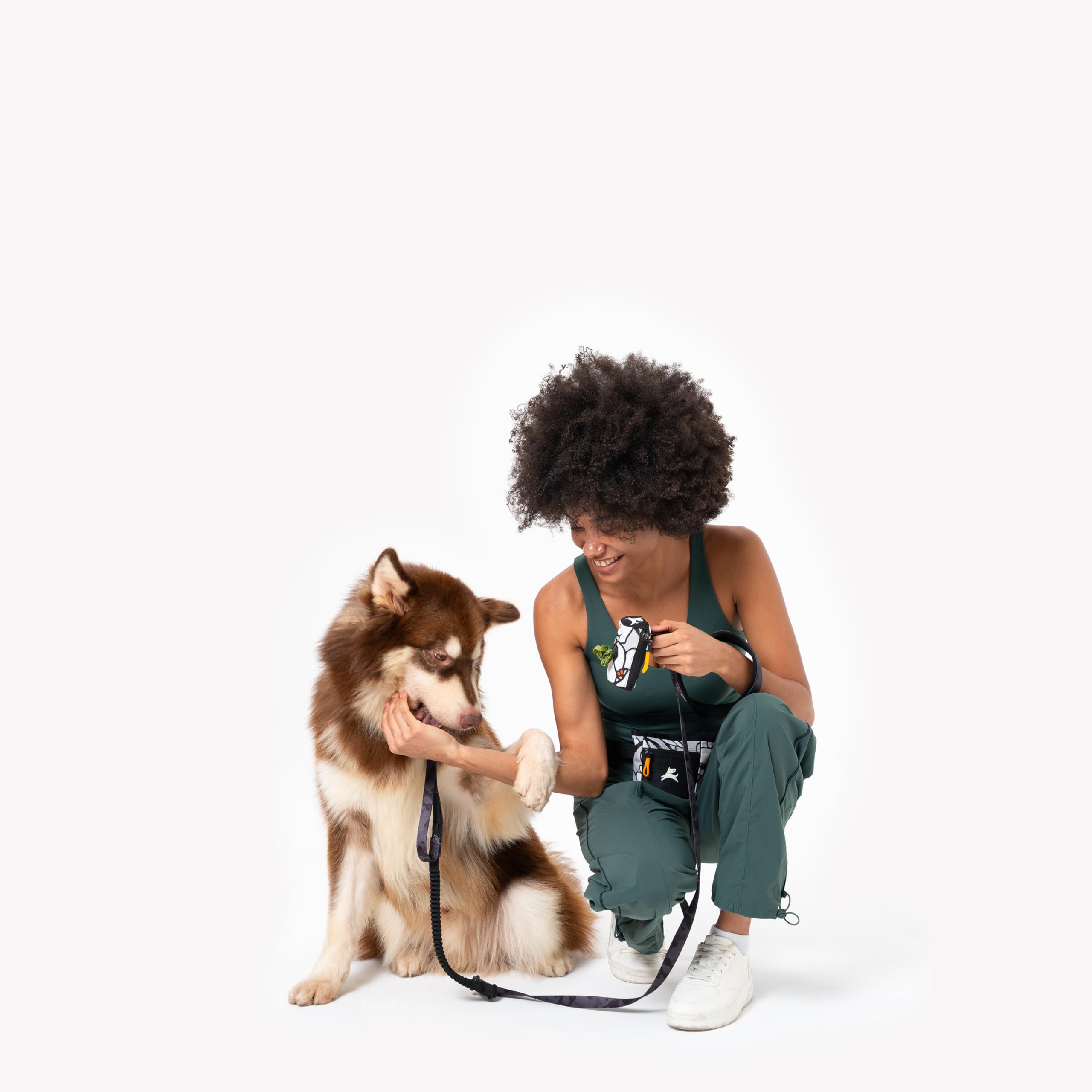 OllyDog Goodie Bag enables hands-free training with easy treat access.