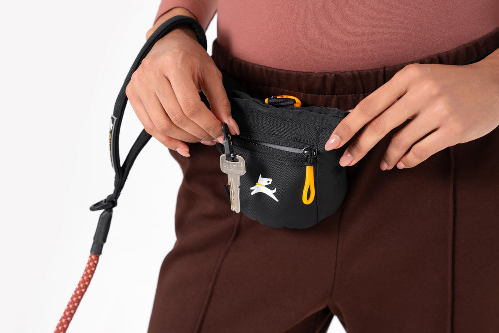 OllyDog Goodie Bag worn at the waist with clip belt.