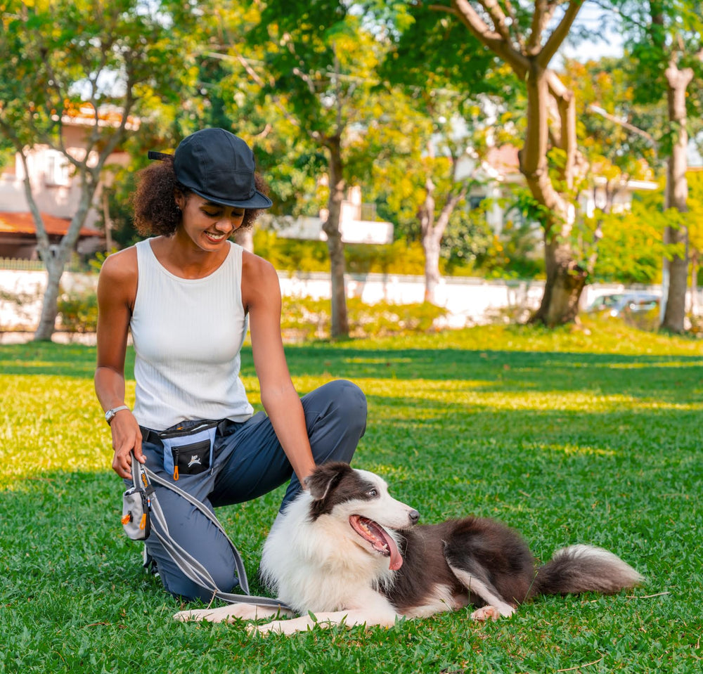 OllyDog Goodie Treat Bag magnetic closure for quick treatment access during training.
