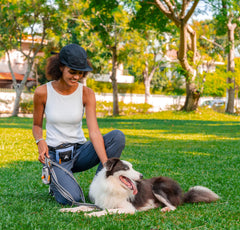 OllyDog Goodie Treat Bag magnetic closure for quick treatment access during training.