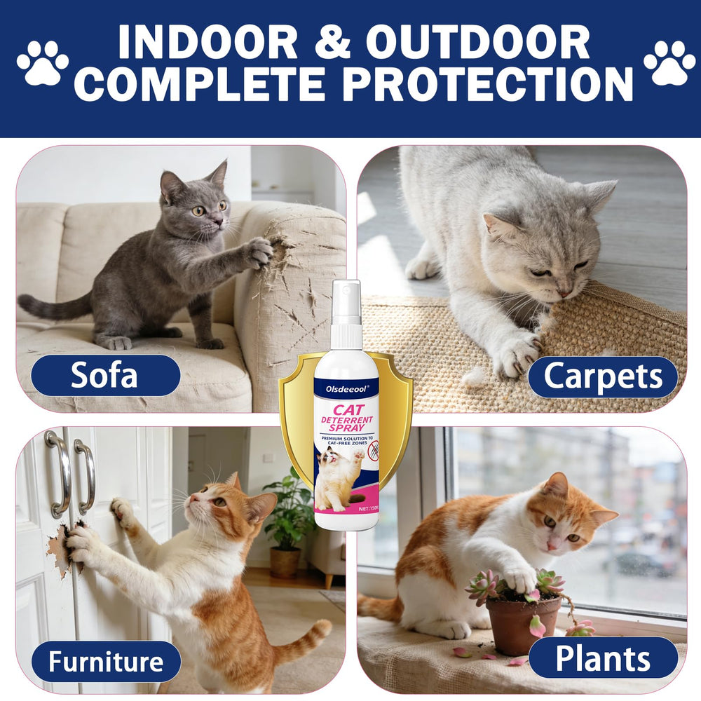 Olsdeeool spray used on patio to keep cats away.