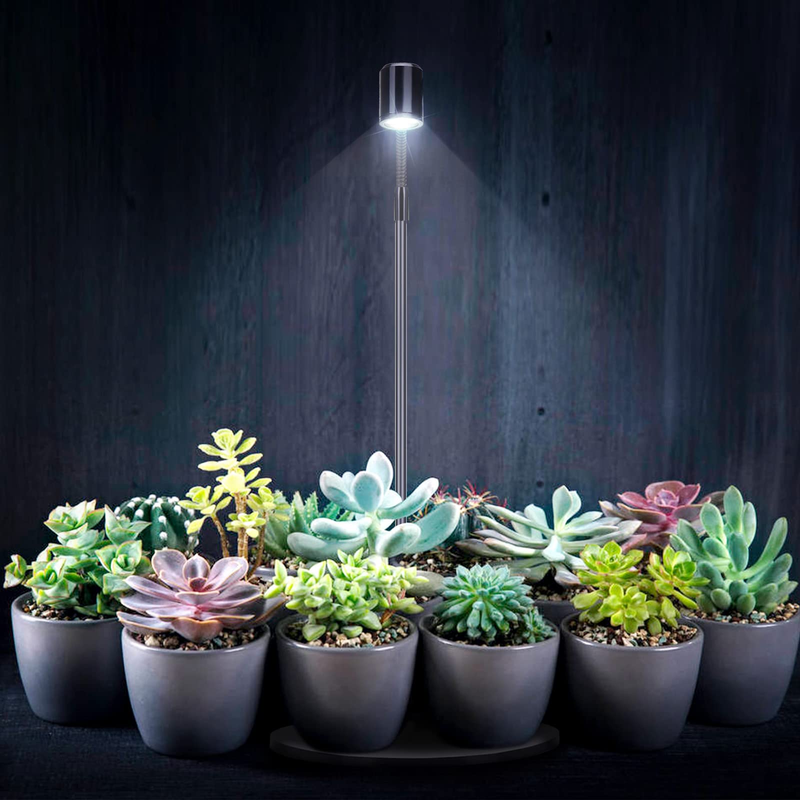 Oltraman LED light used with potted plants for indoor gardening.