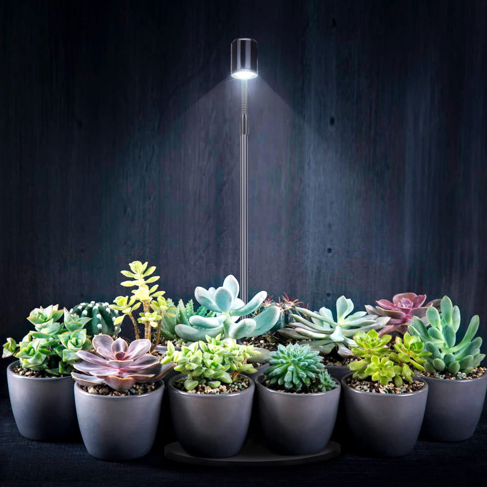 Oltraman LED light used with potted plants for indoor gardening.