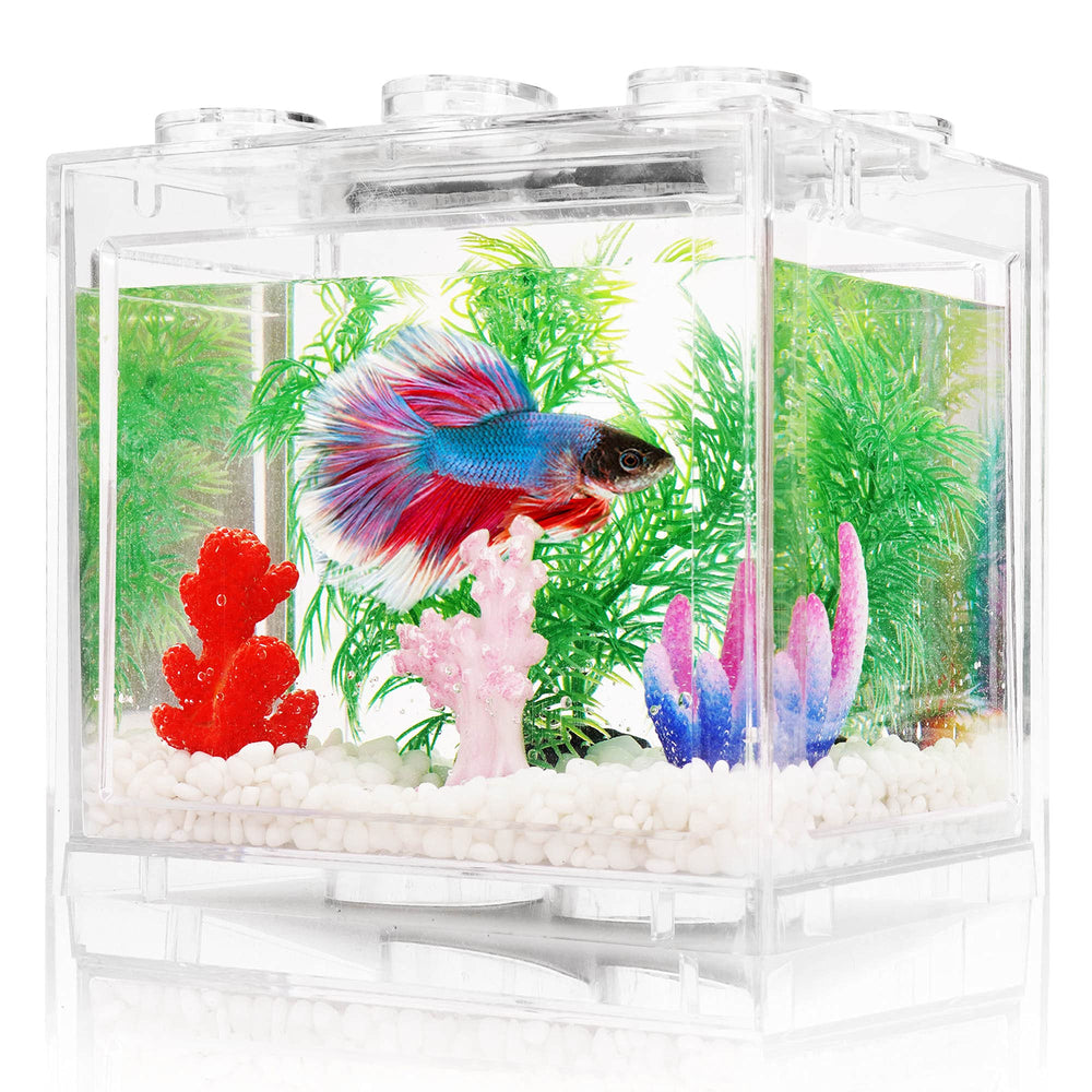 Oltraman small betta tank front view on desk with clear acrylic visibility.