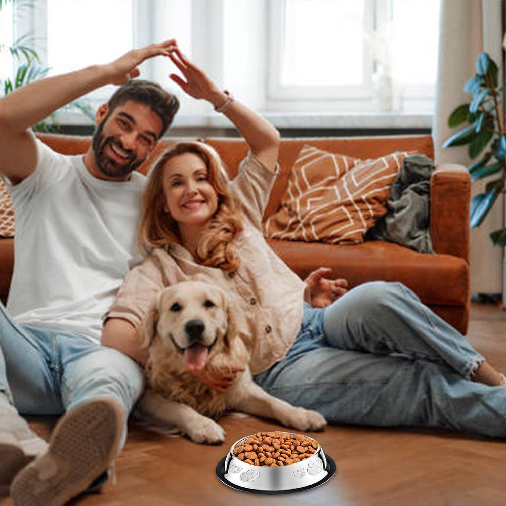 Olutacot shallow design helps cats reach food without whisker fatigue