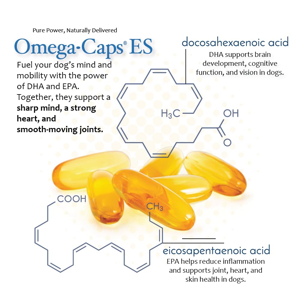 Omega Caps ES on a dog bowl scene illustrating convenient daily use.
